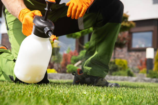 Pest Prevention Services in Mineralwells, WV