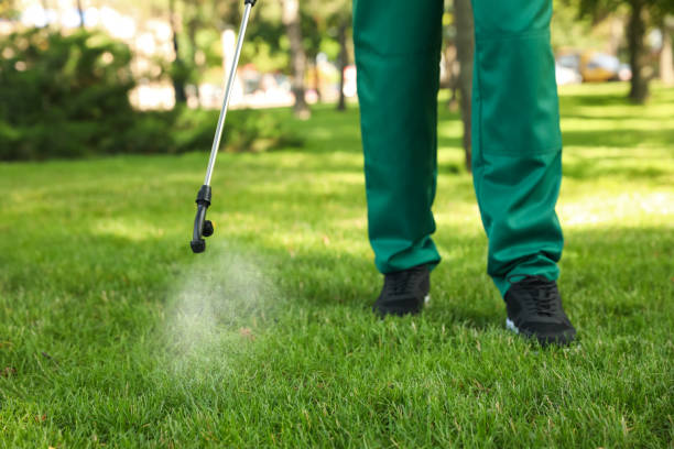 Best Termite Control Services  in Mineralwells, WV
