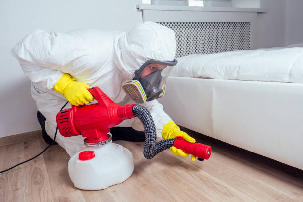 Professional Pest Control in Mineralwells, WV