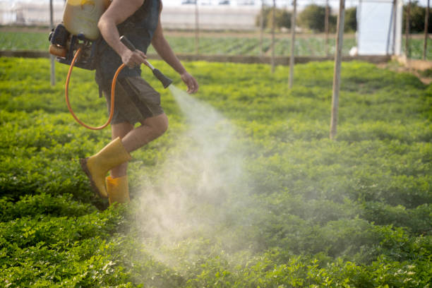 Best Pest Removal Services  in Mineralwells, WV