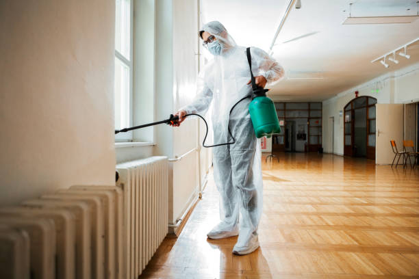 Best Rat Extermination Near Me  in Mineralwells, WV