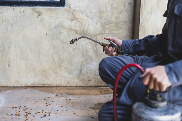 Best Affordable Pest Control Services  in Mineralwells, WV